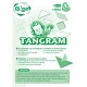Plastic Tangram